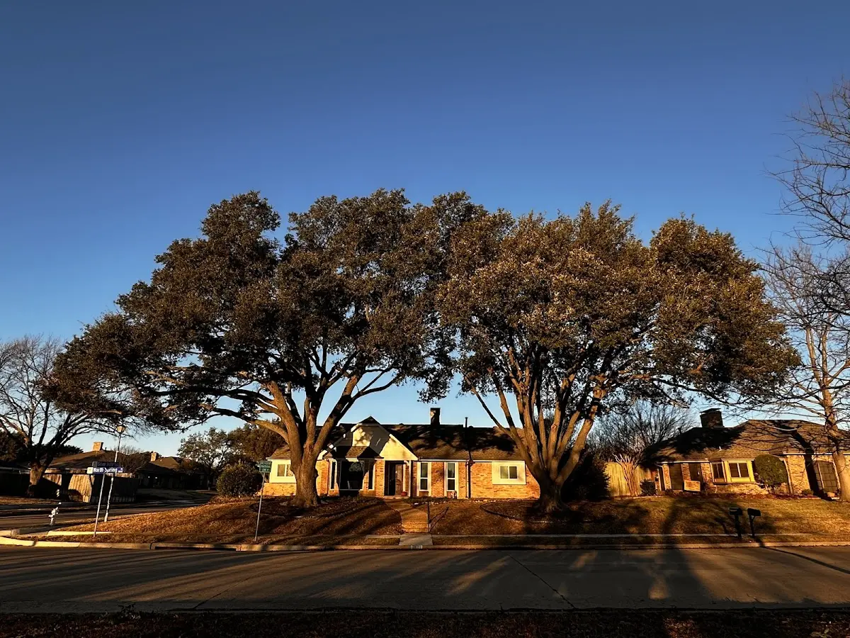 Established residential canopy tree shading a home in Valley Falls